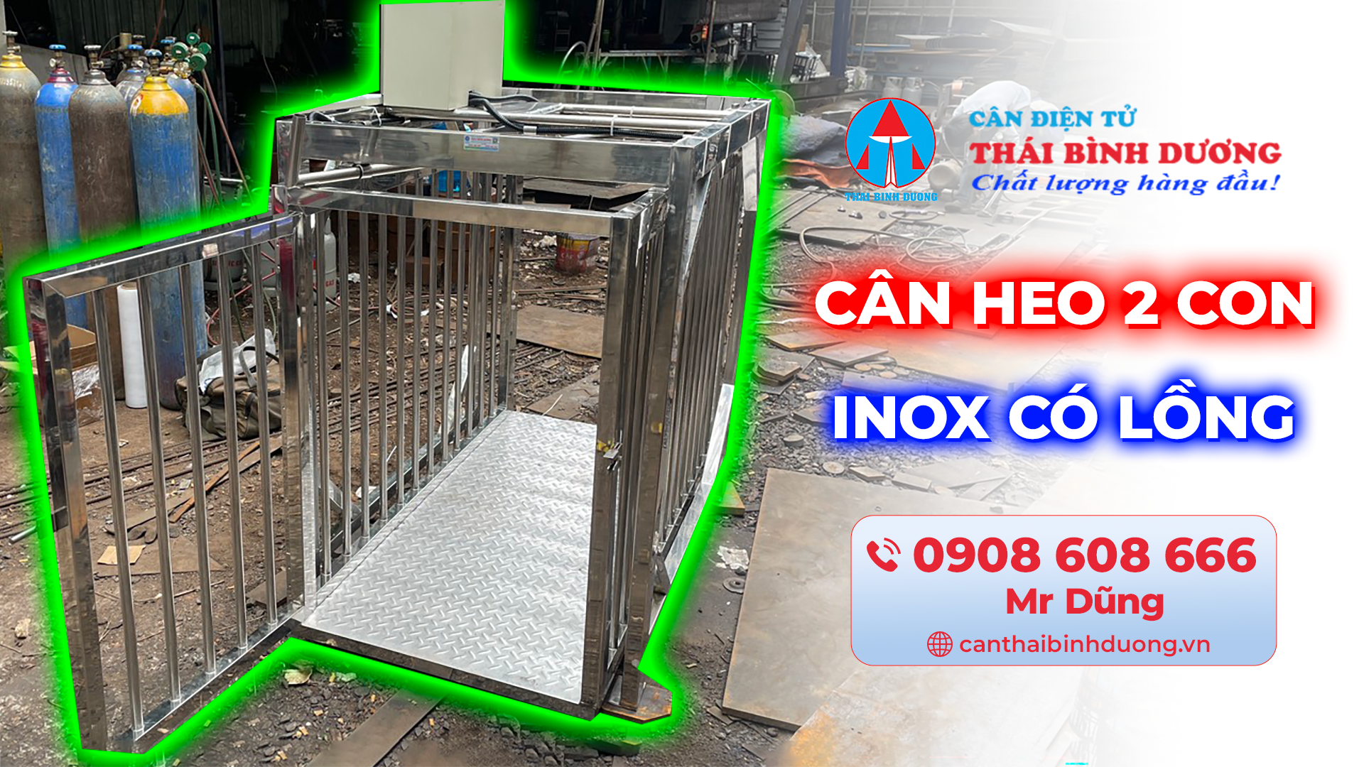 Cân Heo 2 Con Inox Có Lồng Hoài Ân